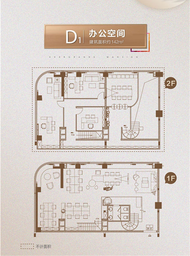 D1户型