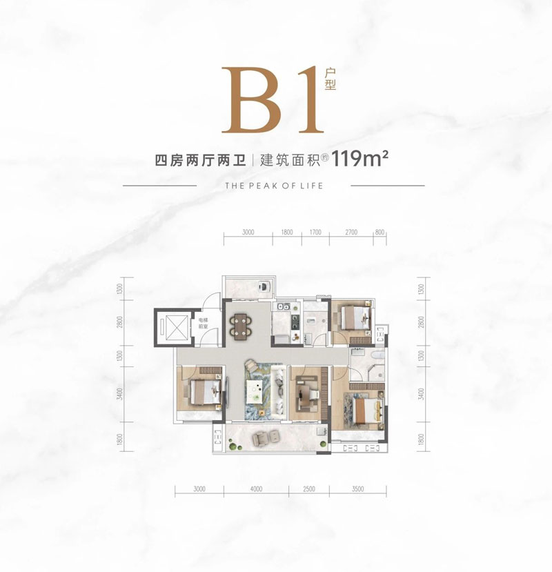 B1户型